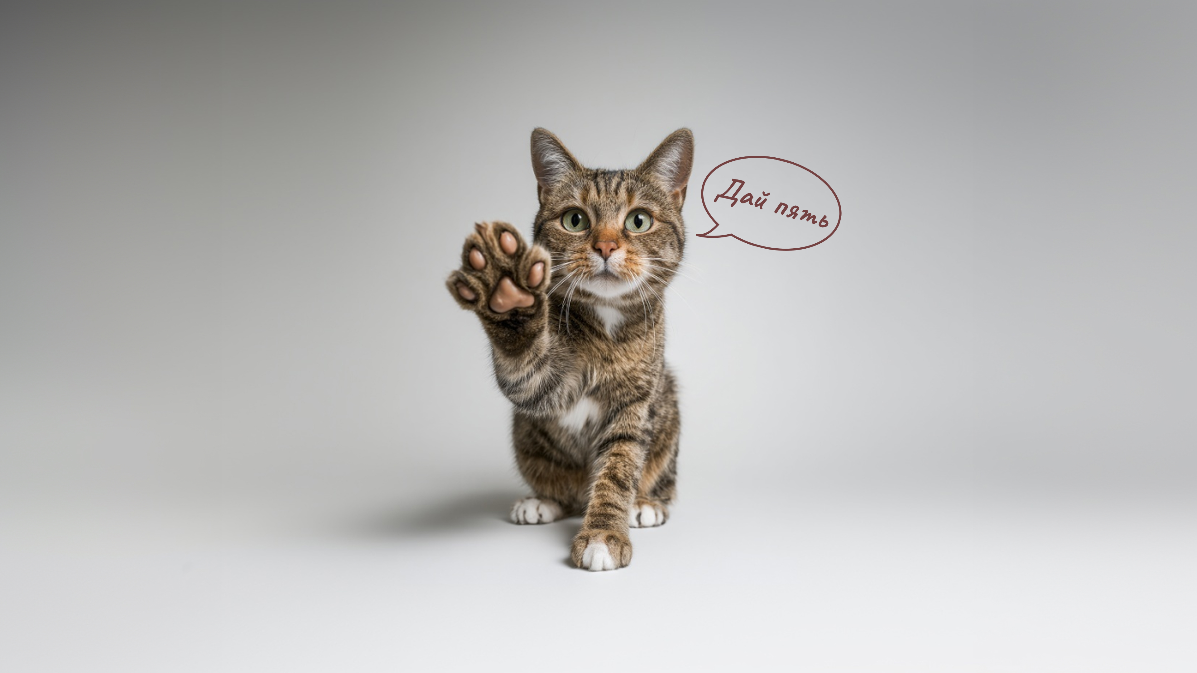 Сайт в разработке