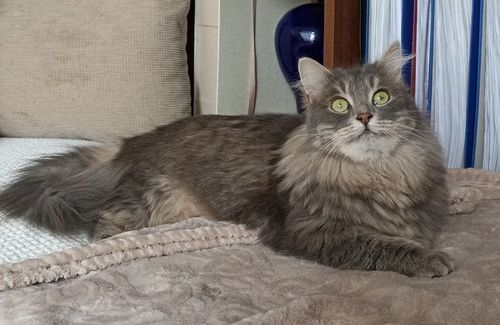 Принцесса-2